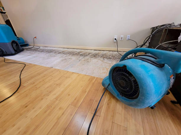 Reliable Basement Flood Cleanup contractor in Harrisville, NH by Hirex Water Damage