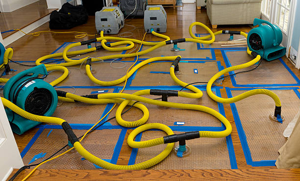 Professional Basement Flood Cleanup technician working in Harrisville, NH